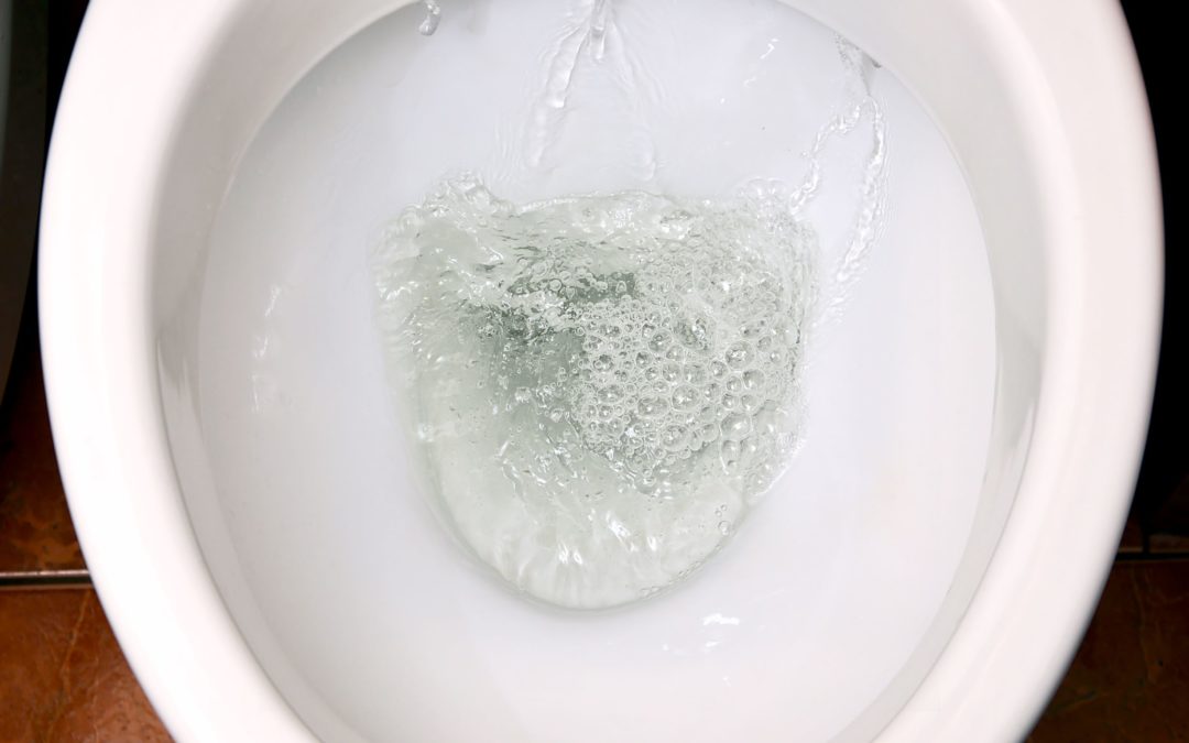 Things You Should Never Flush Down Your Toilet